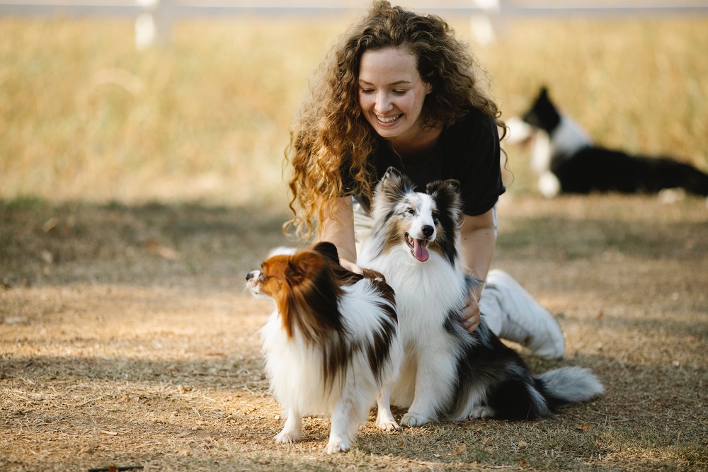 The Health Benefits of Owning a Pet